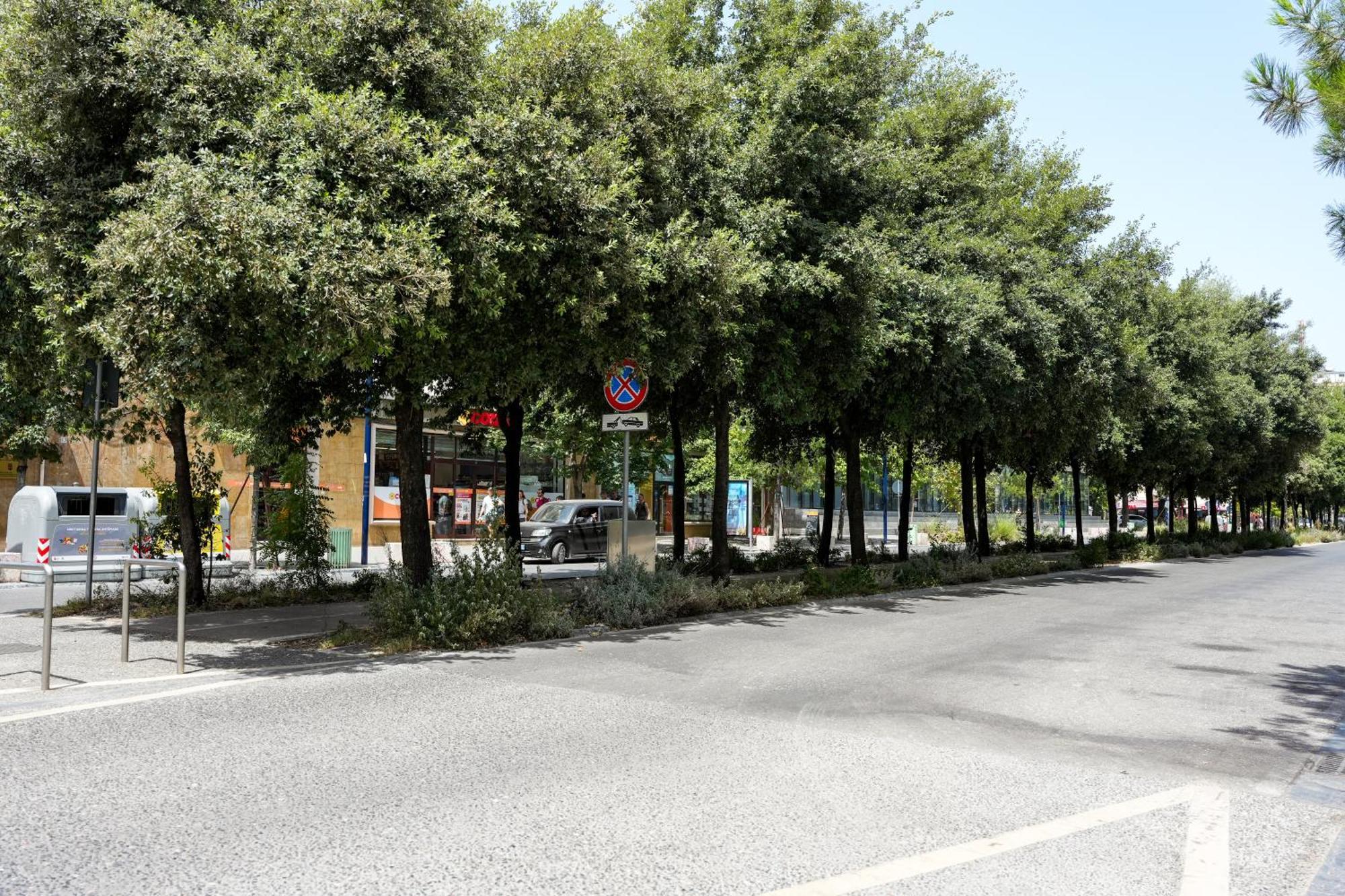 Cozy Apartment In The Heart Of Tirana ! Exteriör bild